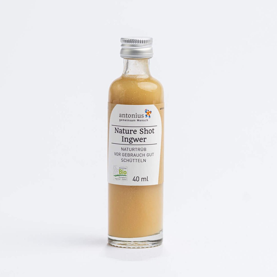 Ein mit einem Bio Ingwer-Shot gefülltes Fläschchen mit einer Füllmenge von 40 Mililitern. Auf dem Etikett steht: "Nature Shot Ingwer - naturtrüb, vor Gebrauch gut schütteln."