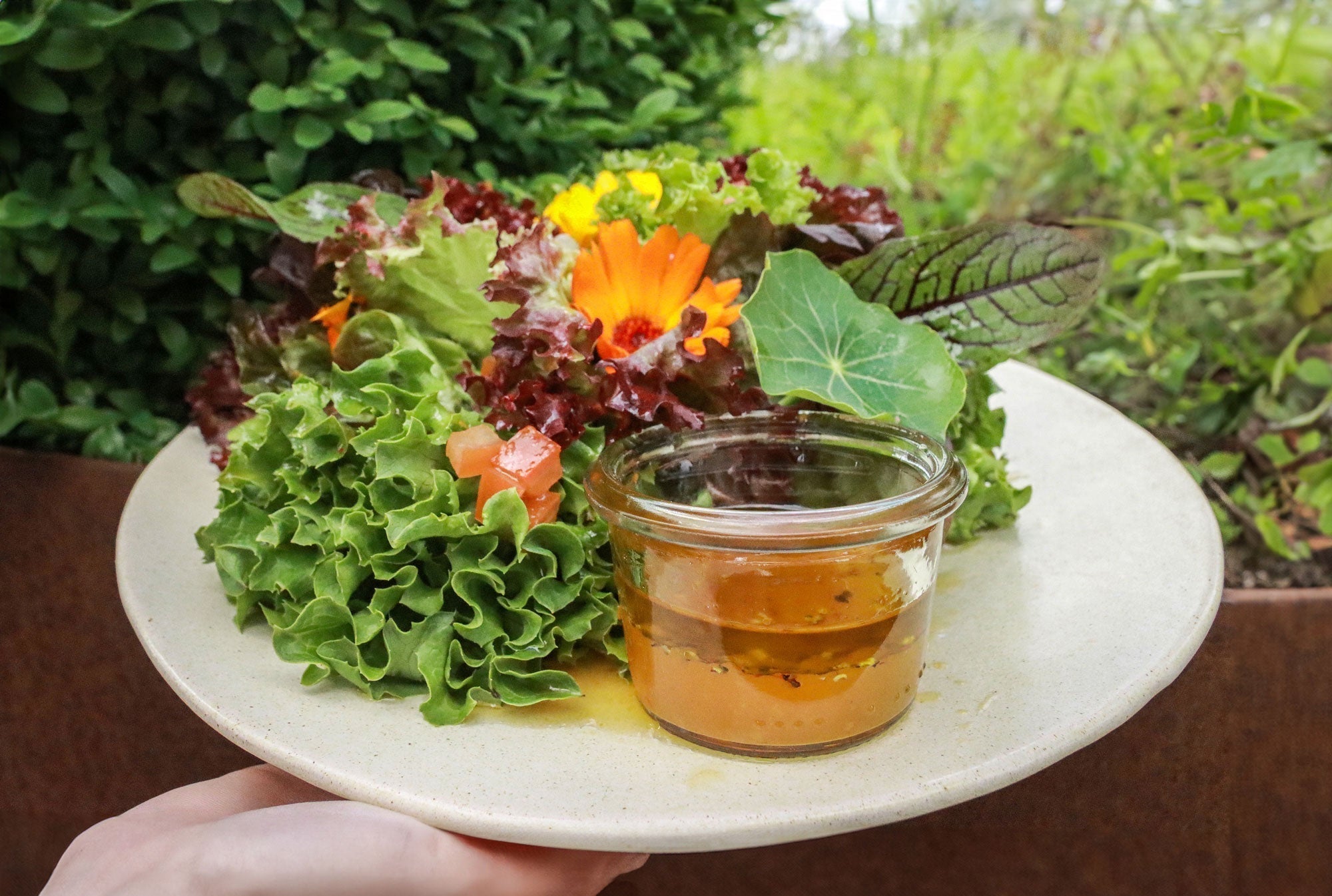 Salatdressing Physalis