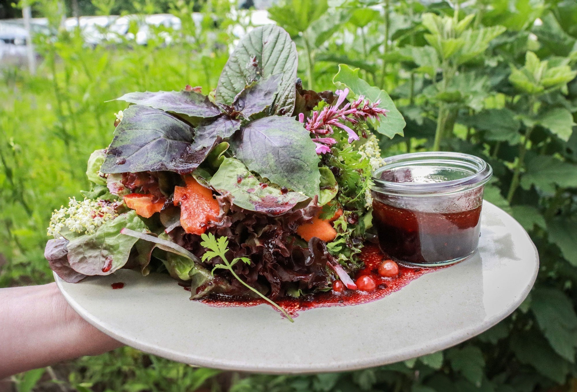 Salatdressing Schwarze Johannisbeere