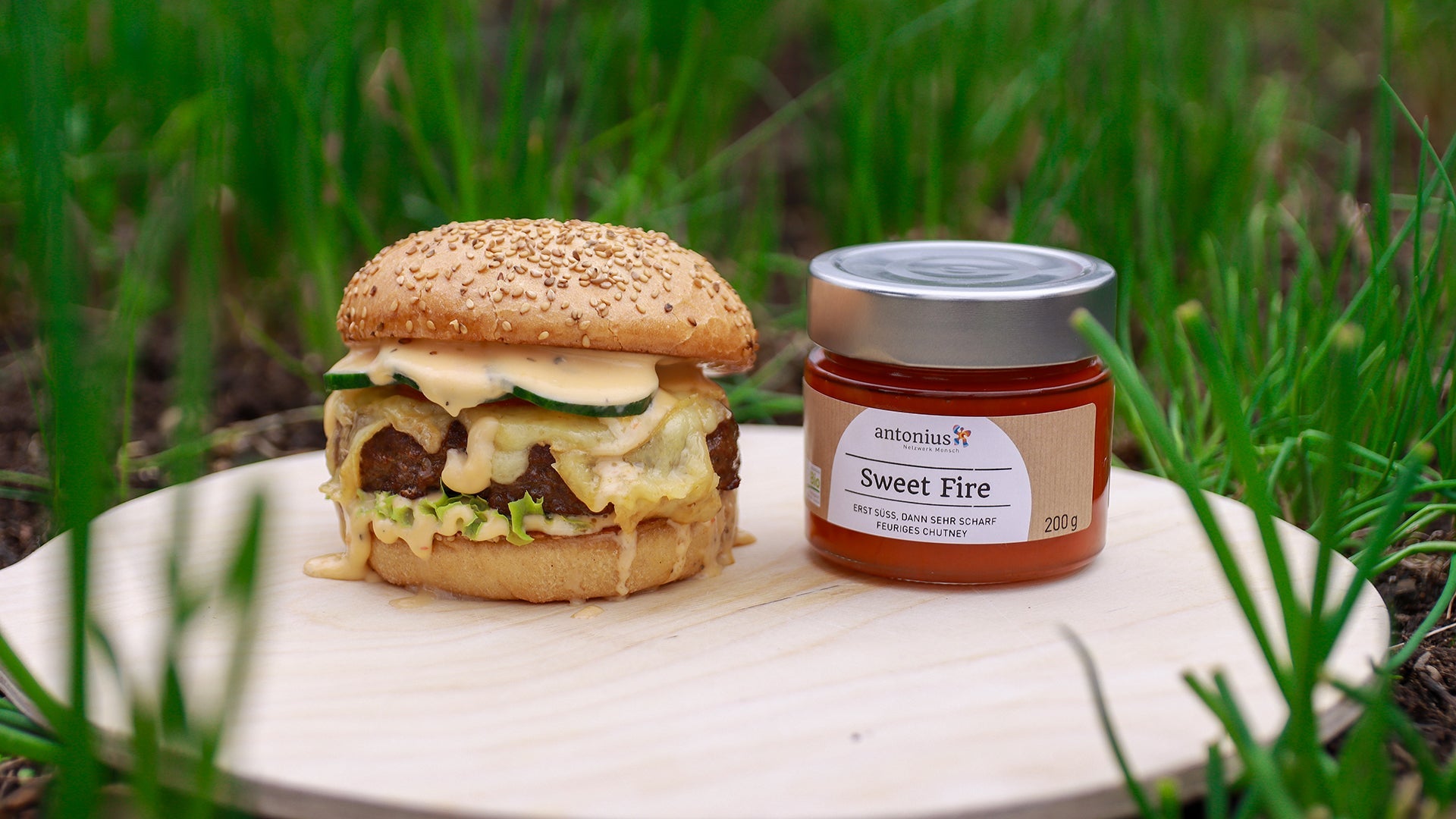 Feuriger Chili Cheese Rindfleisch Burger