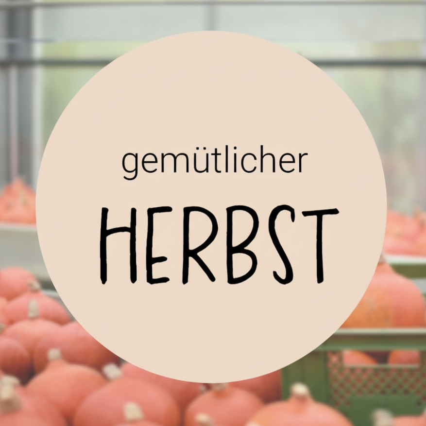 im Hintergrund sieht man Kürbisse aus unserer Gärtnerei und im Vordergrund einen beigen Kreis auf dem steht: gemütlicher Herbst