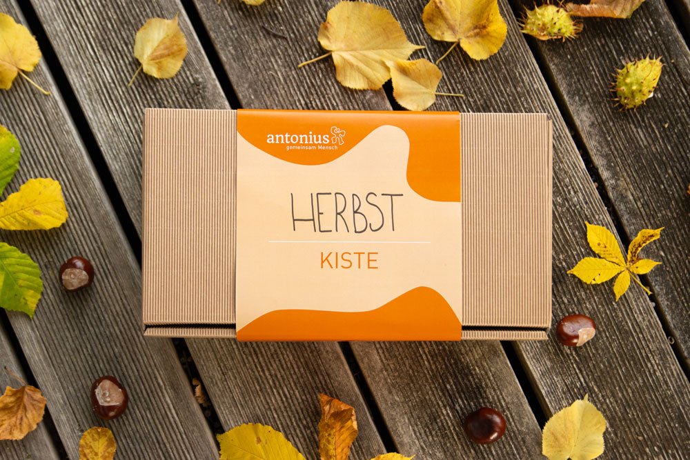 Handgemachtes verpackt in einer Kiste für Sie Zuhause